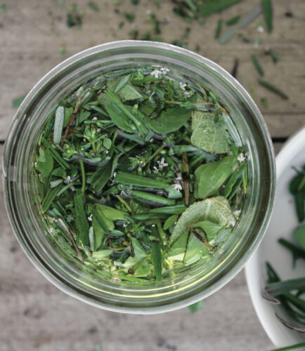 Four Thieves Vinegar Spray