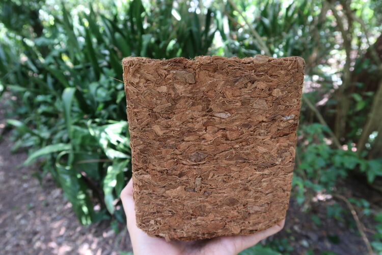Coconut Coir vs. Peat Moss