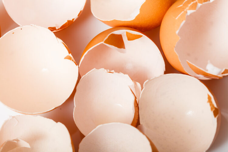 8 Household Uses for Eggshells