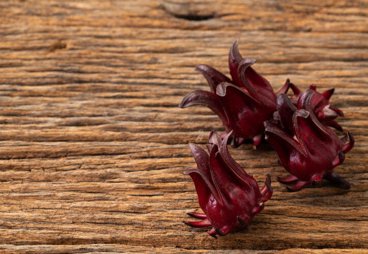 How to Grow Hibiscus