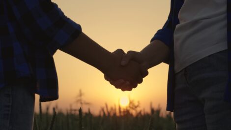 Grant Writing for Beginners Image