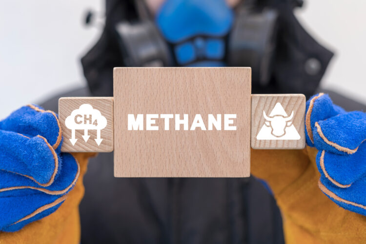 The Affects of Methane Greenhouse Gas