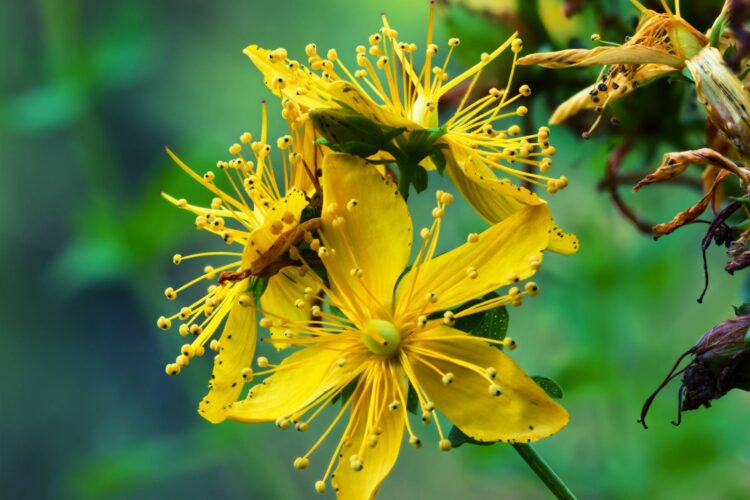 Beat the Winter Blues