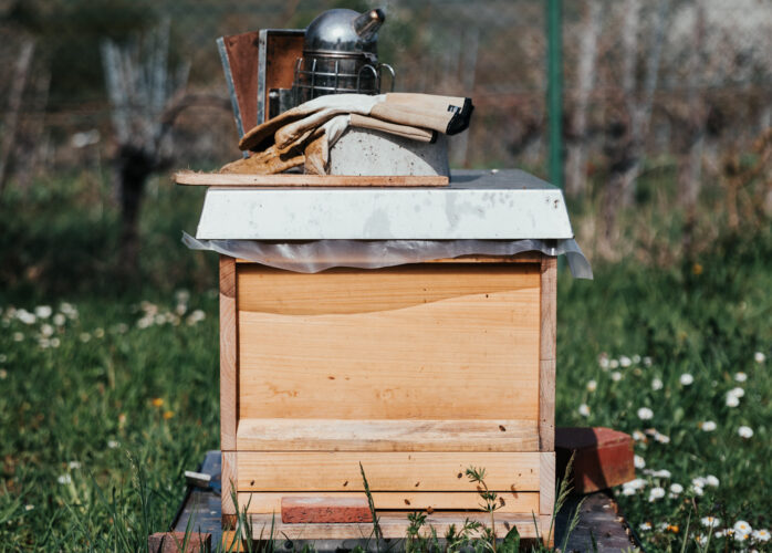 Assembling a Beekeeper's Toolkit (Video)