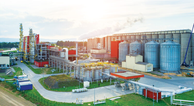 Biofuels Pros and Cons for the Energy Transition Image