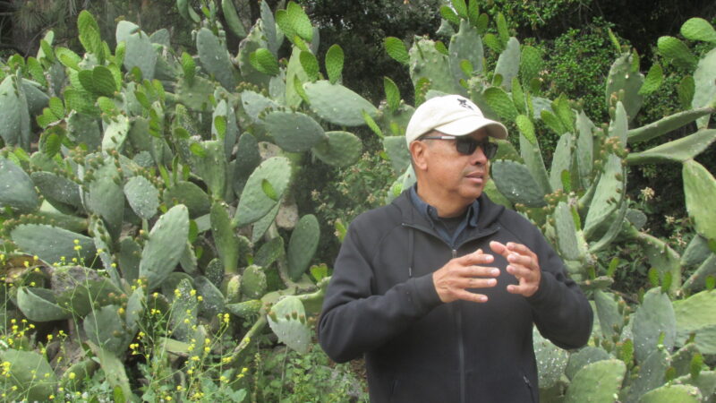 Enrique Villaseñor: Ambassador of the Prickly Pear Cactus