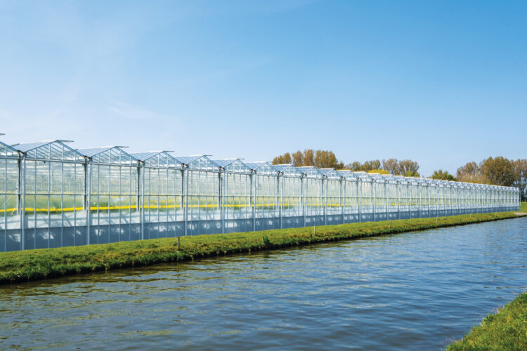 Innovative Greenhouse Technologies for the Future