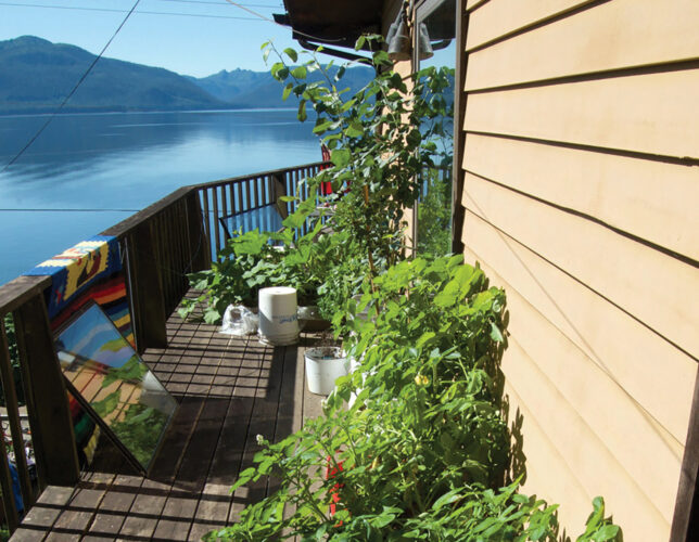 Organic Slug Control