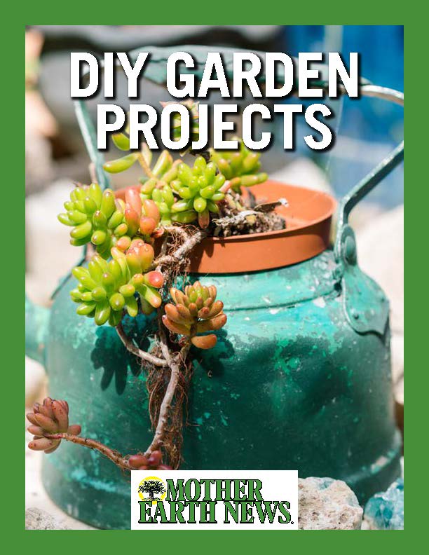 DIY Garden Projects