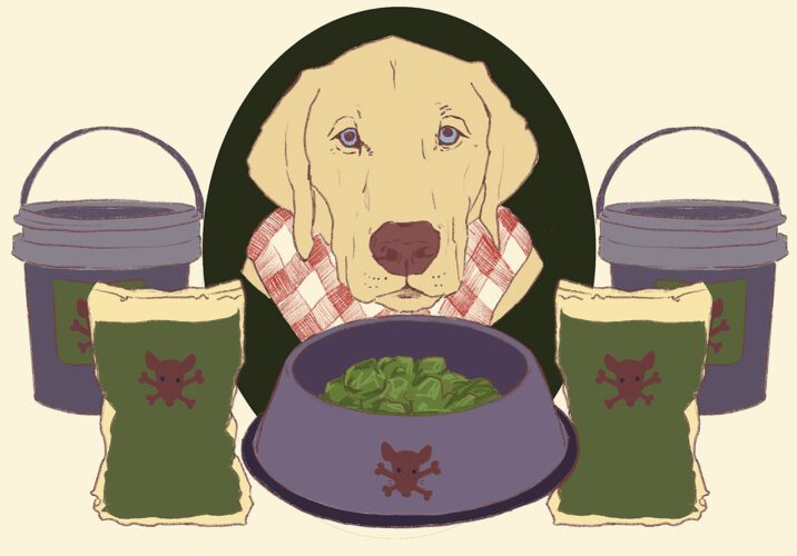 Rodenticide Toxicity: How Does Rat Poison Work? Image