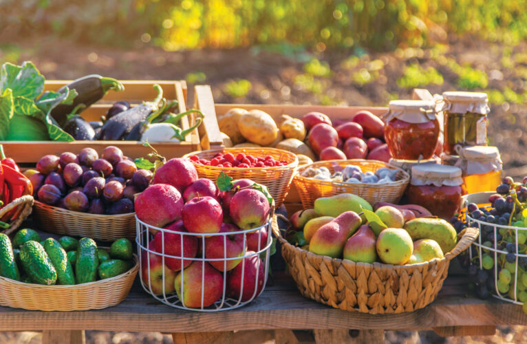 Garden Planning Worksheet