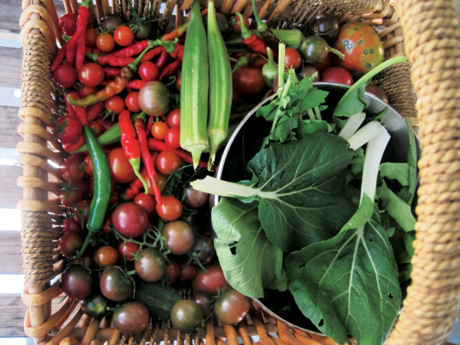 Foods Not to Refrigerate