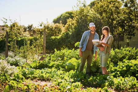 How to Plan a Bigger, Better Vegetable Garden Image