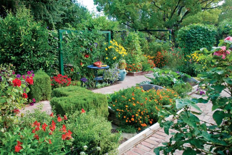 Companion Planting Flowers and Vegetables