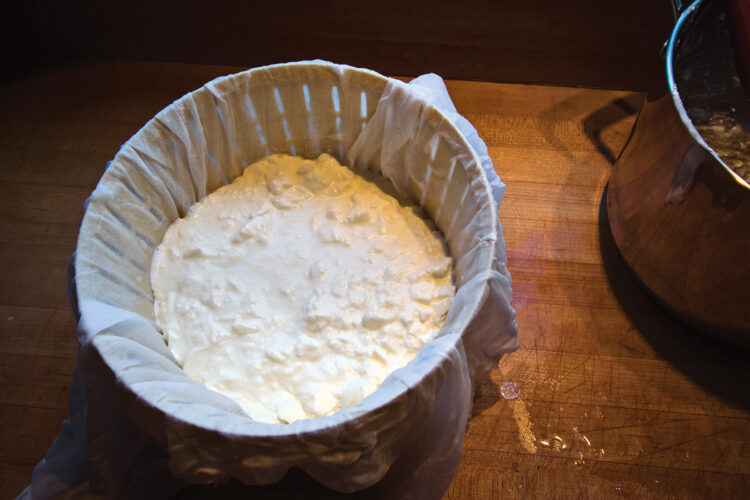How to Make Farmers Cheese with Buttermilk
