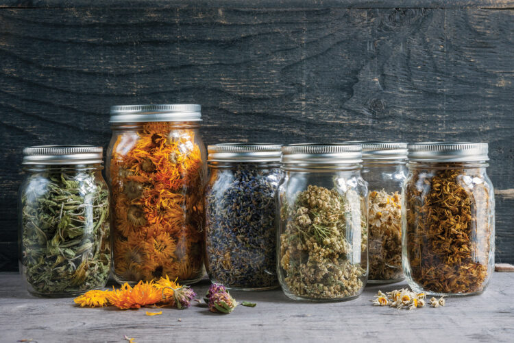 Herbs for Sleep, Stress, and Sobriety Image
