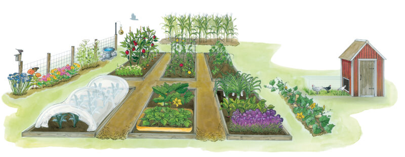 A Glossary of Natural Garden Pest Control Solutions