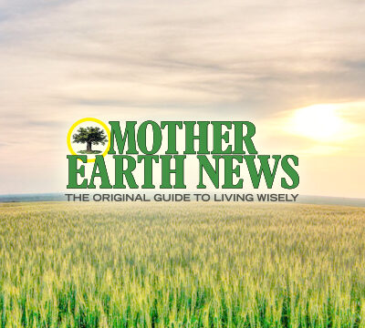 Freecycling: What Is It?