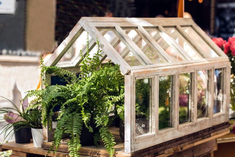 7 Delightful Mini-Indoor-Garden Ideas to Liven Up Your Living Space