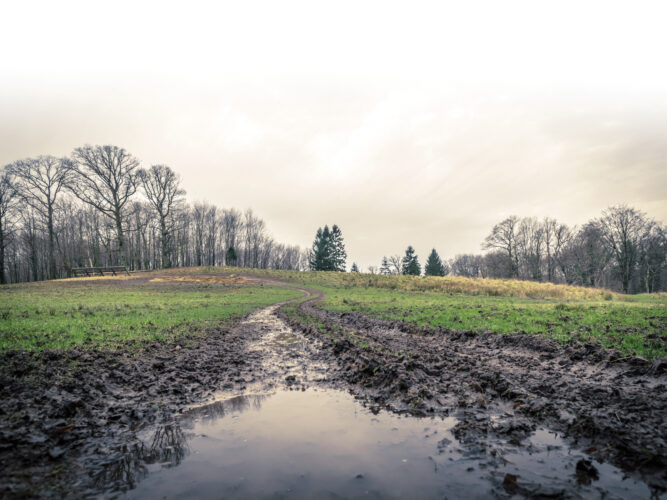 Compacted Soil Remedy