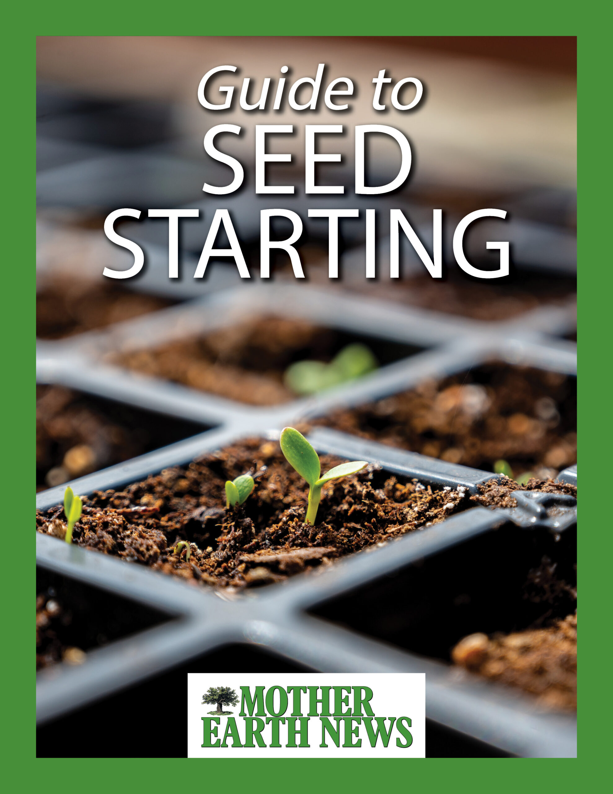 Seed Starting