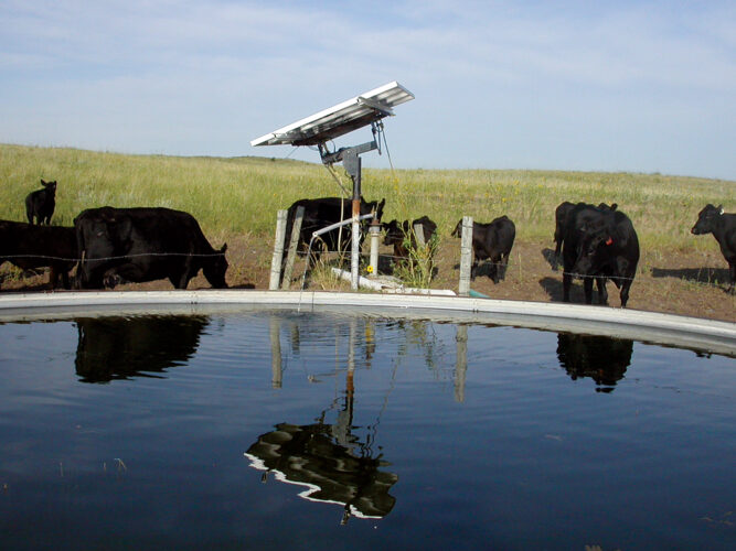 Solar Livestock Water Pumps