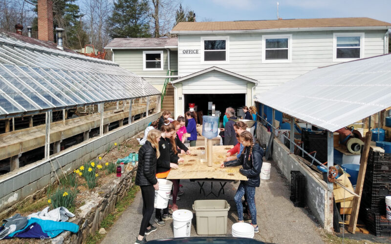 Asheville Nuttery: Foraged Food Coop Initiative