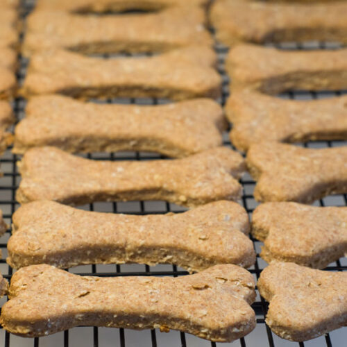 Spelt and Sunflower Dog Treat Recipe