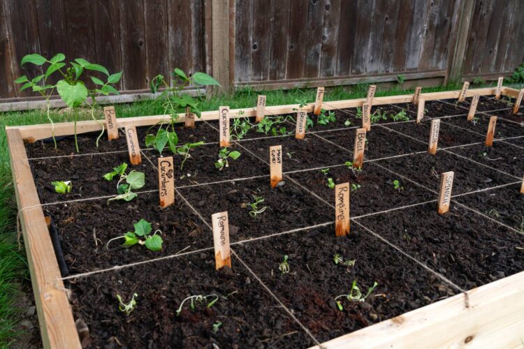 Square-Foot Gardening Planting Guide Image