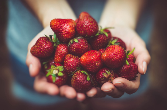 How to Grow Strawberries in Your Backyard