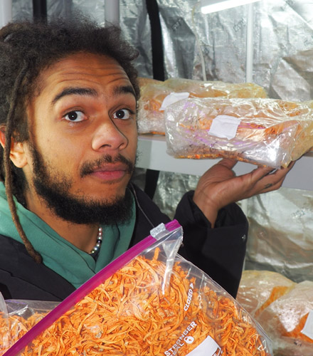 William Padilla-Brown