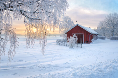 7 Tips for Winter on the Homestead Image