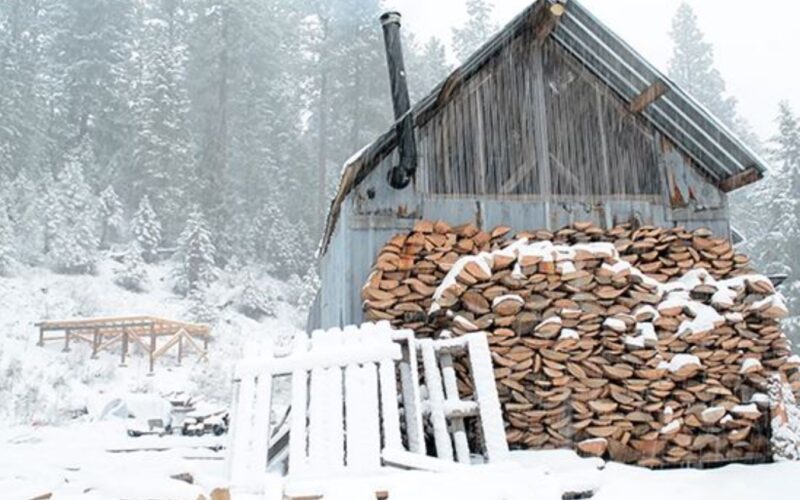 Young Homesteading Couple Builds Off-Grid Cabin for $300