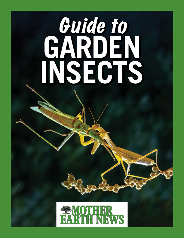 Garden Pest Guide