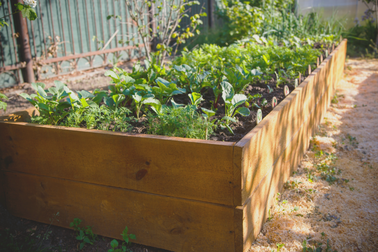 How to Build a Raised Garden Bed