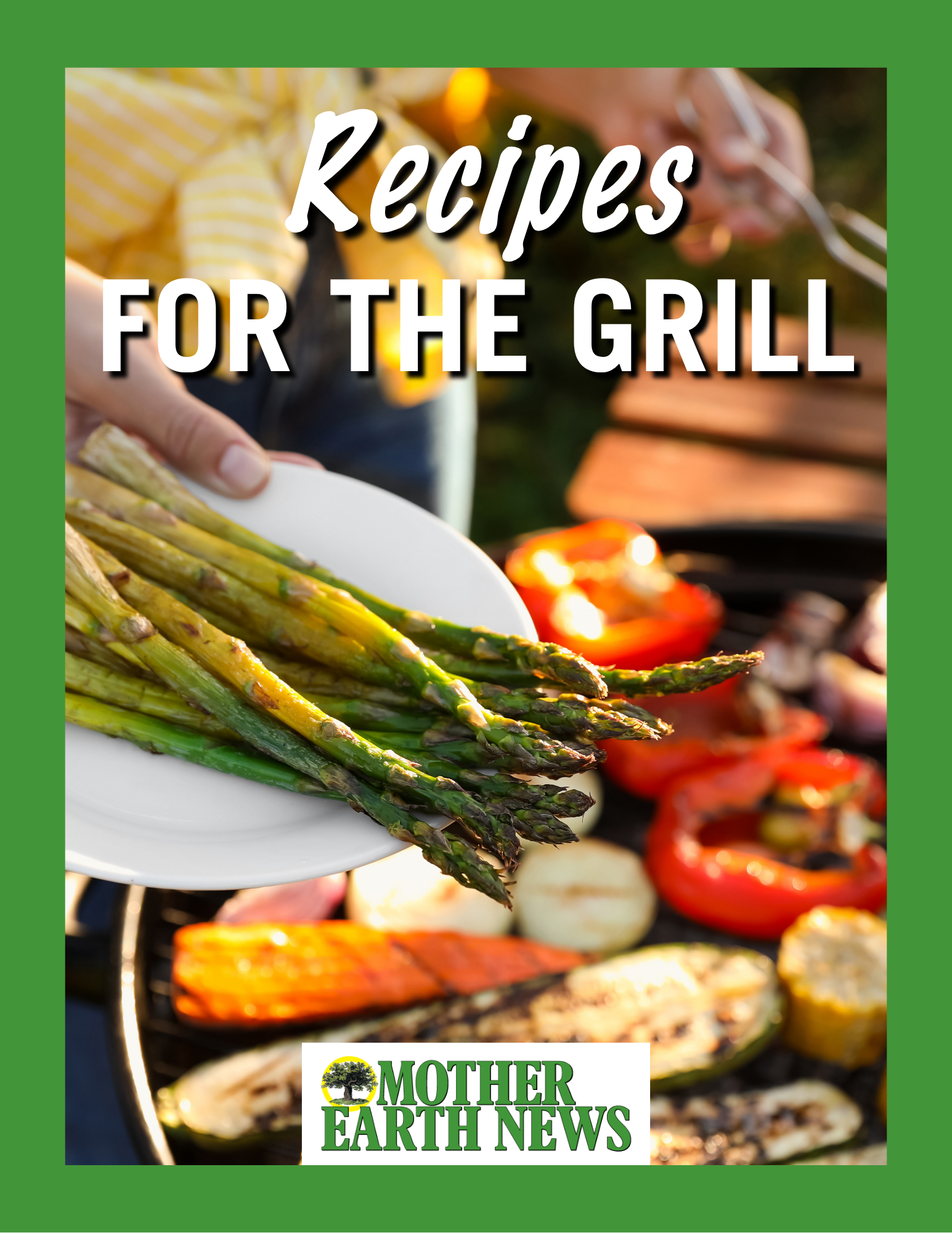 Recipes for the Grill